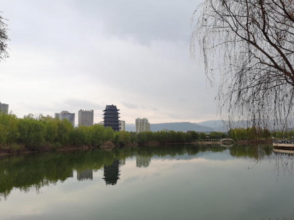 蘭州銀灘黃河濕地公園。新甘肅·甘肅日報記者杜雪琴攝.jpg